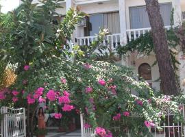 Ξενοδοχείο φωτογραφία: Carikci Hotel