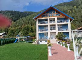Pensiunea Aurelia, hotel in Bicaz Chei