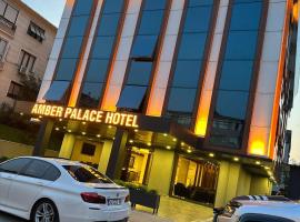 Hotel Photo: Amber Palace Hotel