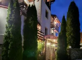 Hotel Bran Stoker