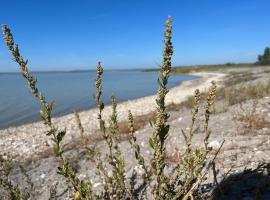 Foto di Hotel: Mediterrane Ferien Villa am Neusiedler See