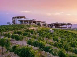 Hotel Vinícola Parvada by Lumina