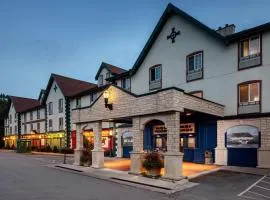 Irish Cottage Inn & Suites，加利納的飯店