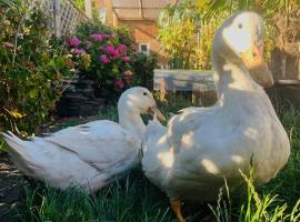 Photo de l’hôtel: Duck terrace