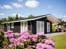 A picture of the hotel: Modern chalet on the water in the Brabant Kempen