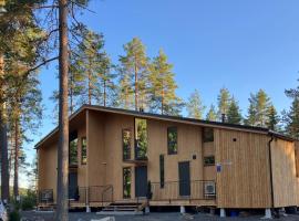 酒店照片: Suomalainen puinen huvila Havu Resort 17 henkilölle