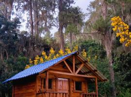מלון צילום: Pinar del Valle - Glamping en el Bosque - Propiedad Completa en Constanza