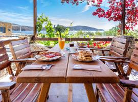 A picture of the hotel: Vassilia on the beach Serifos