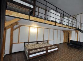 Дворівневі Апартаменти-Лофт у Старому місті, hotel in Kamianets-Podilskyi