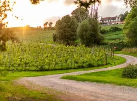 Three Choirs Vineyards