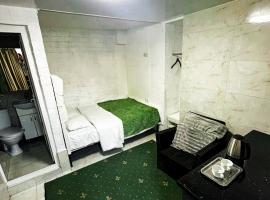 CentralGreen Studio, hotel in Chişinău