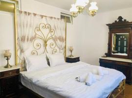 Hotel Photo: Joy City Stay Sadoveanu 1&2