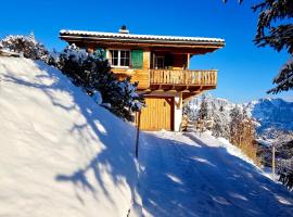 Hotel kuvat: Chalet Gauschla - CharmingStay