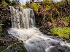 Hotel Photo: Glenariff Forest Getaway