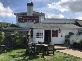 รูปภาพของโรงแรม: The Old Red Lion Inn