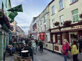 Hotel Photo: The Galway City 3 Bed