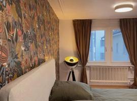 Hotel fotografie: Süsse Wohnung in Zürcher Altstadt 3