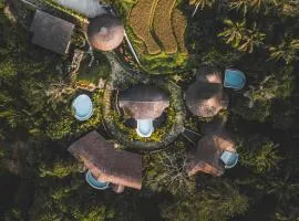 Jungleight Bali