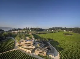 Monverde - Wine Experience Hotel - by Unlock Hotels, hotel i Amarante