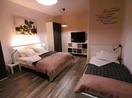 Gambaran Hotel: apartma Vila TARA