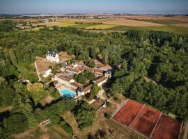 صور الفندق: Hotel The Originals Château de Perigny