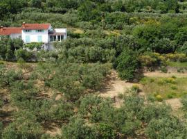 Хотел снимка: House among olive trees with a sea view 3
