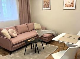 A picture of the hotel: Apartment R&L Lazovná 2 - city center, free private parking