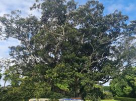 Hotel fotoğraf: Cedia at Byron Bay Hinterland