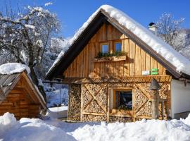 Hike & Bike Chalet, Hotel in Bohinj