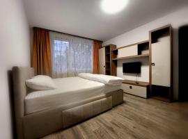 Hotel fotografie: Apartament cu 1 camera ultracentral
