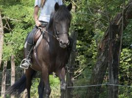 מלון צילום: Agriturismo Jesson Rosamund