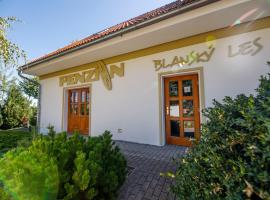 Hình ảnh khách sạn: Penzion Blanský Les