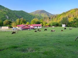 Hotel Photo: Къща за гости Ранчо Канарата