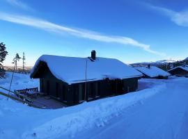 Hotel foto: Modern och bekväm hytte nära Gaustatoppen, 3 sovrum 9 bäddar