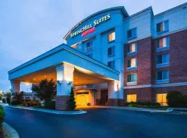 SpringHill Suites Charlotte Lake Norman/Mooresville，穆爾斯維爾的飯店