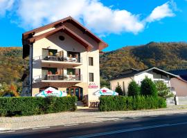 Pensiunea Karina, hotel in Caciulata