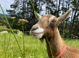 Фотографія готелю: Pukeatua Farmstay