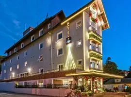 Hotel Fioreze Primo - 800m da Rua Coberta