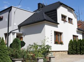 Dům Tamara, ξενοδοχείο σε Luhačovice