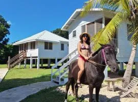 Horse Cottage