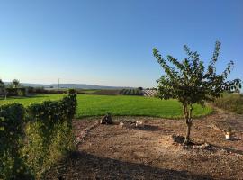 Хотел снимка: Where winery meets olive trees