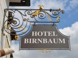 Фотографія готелю: Hotel Birnbaum