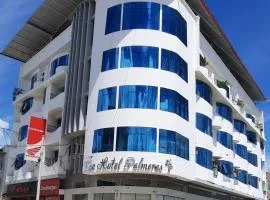 Gran Hotel Palmeras