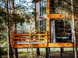 Hotel fotoğraf: Wood Land Liswarta domki w drzewach