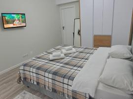 Hotel kuvat: Аэропорт-Номера 24/24 .