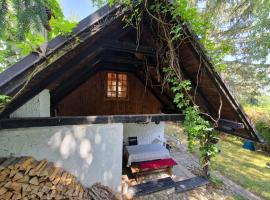 Foto di Hotel: Uriges Bauernhaus in den Bergen