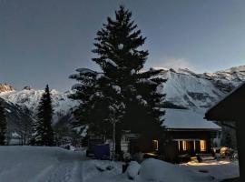 Chalet 87 Engelberg, Cosy Chalet with Superb Views，位于英格堡的酒店