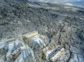 Huinid Pioneros Hotel
