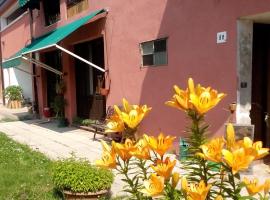 A picture of the hotel: Ecogarden camping with rooms