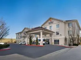 Comfort Inn & Suites Airport Convention Center, hótel í Reno